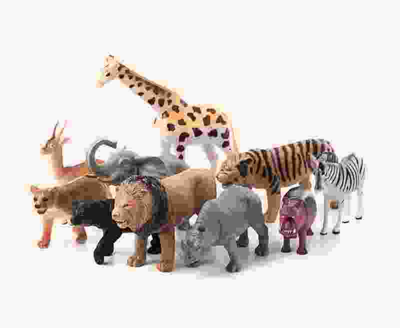 Shop Secondary Image Shop Secondary Image