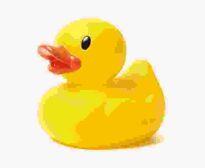 Shop Secondary Image Shop Secondary Image