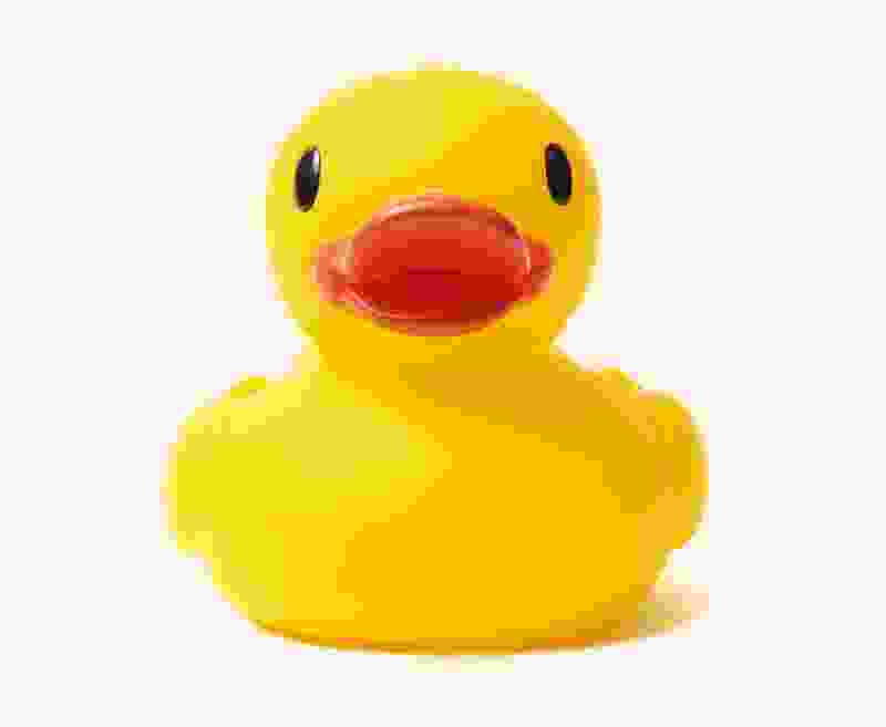 Shop Primary Image Shop Primary Image